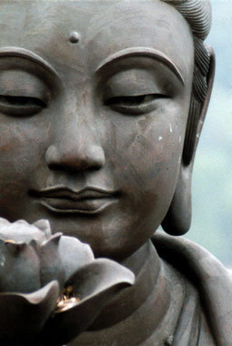Lotus Love Healing Arts in Ithaca NY, Annette Roberts Licensed Massage Therapist, Registered Nurse - buddha-lotus-flower-symbol